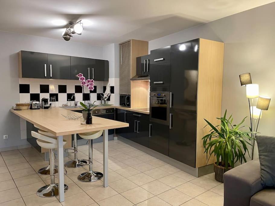 L'ideal Cosy-wifi-netflix Et Garage *